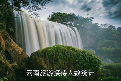 云南旅游接待人数统计