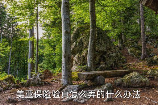美亚保险验真怎么弄的什么办法