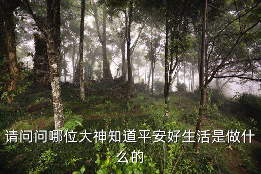 请问问哪位大神知道平安好生活是做什么的