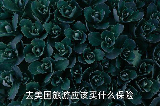 去美国旅游应该买什么保险
