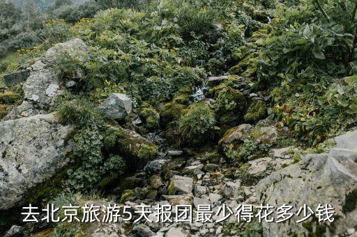 去北京旅游5天报团最少得花多少钱