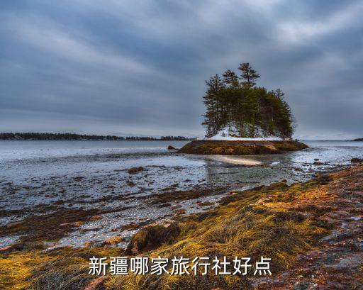 新疆旅游社哪家好一点，新疆哪家旅行社好点