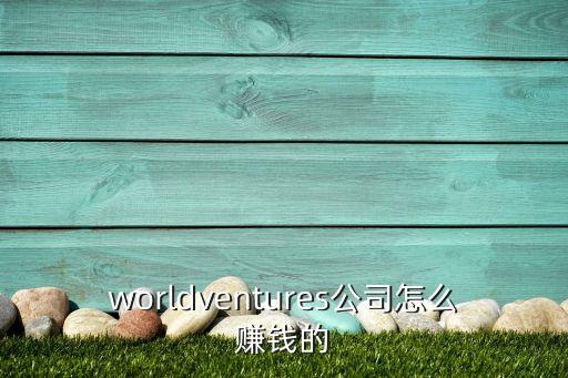 worldventures公司怎么赚钱的