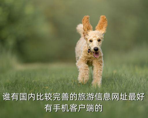 谁有国内比较完善的旅游信息网址最好有手机客户端的