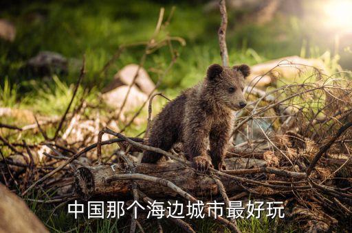 中国那个海边城市最好玩