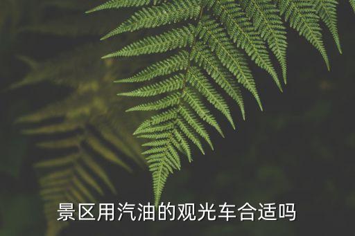 景区用汽油的观光车合适吗