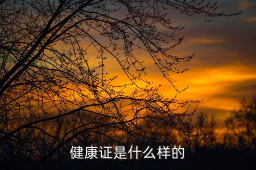 纸质健康证明图片，请问重庆的健康证是什么样子的 是纸质的吗还是像身份证那样带磁条