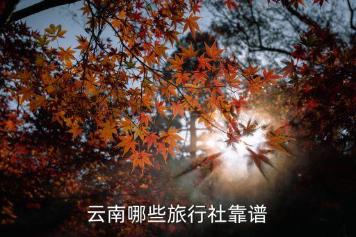 云南哪些旅行社靠谱
