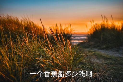 一个香蕉船多少钱啊