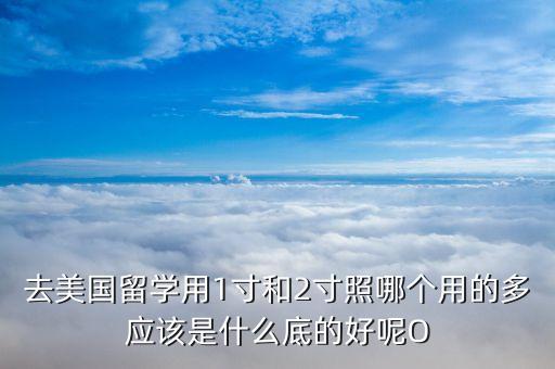 去美国留学用1寸和2寸照哪个用的多应该是什么底的好呢O