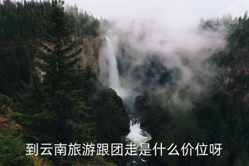 云南旅游跟团游多少钱，去云南跟团走大概多少钱