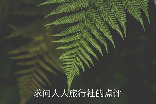 求问人人旅行社的点评