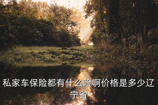 私家车保险都有什么险啊价格是多少辽宁省