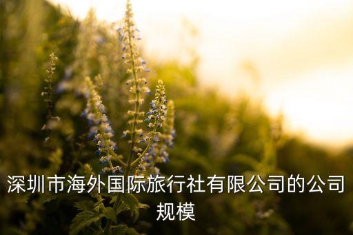 深圳市海外国际旅行社有限公司的公司规模