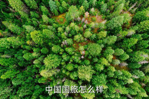 中国国旅怎么样