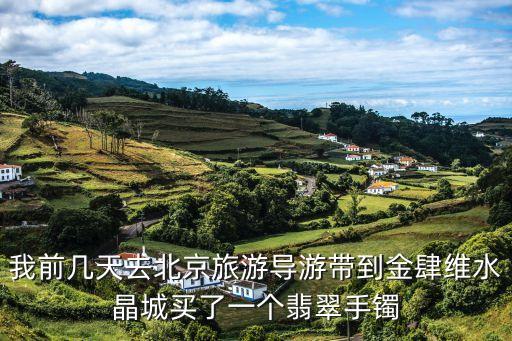 我前几天去北京旅游导游带到金肆维水晶城买了一个翡翠手镯
