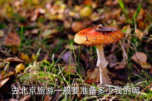 去北京旅游一般要准备多少钱的呢