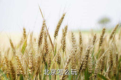 北京怎么玩