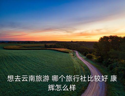 想去云南旅游 哪个旅行社比较好 康辉怎么样