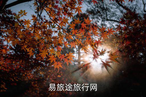 易旅途旅行网