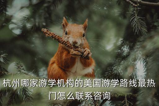 杭州哪家游学机构的美国游学路线最热门怎么联系咨询