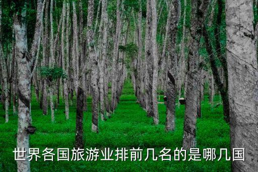 世界各国旅游业排前几名的是哪几国