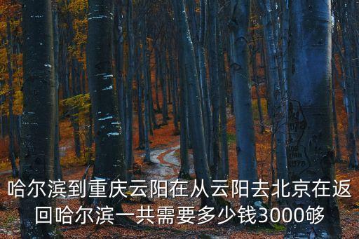 哈尔滨到重庆云阳在从云阳去北京在返回哈尔滨一共需要多少钱3000够