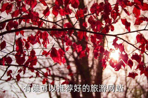 中国旅游网站排行榜前十名，有谁可以推荐好的旅游网站