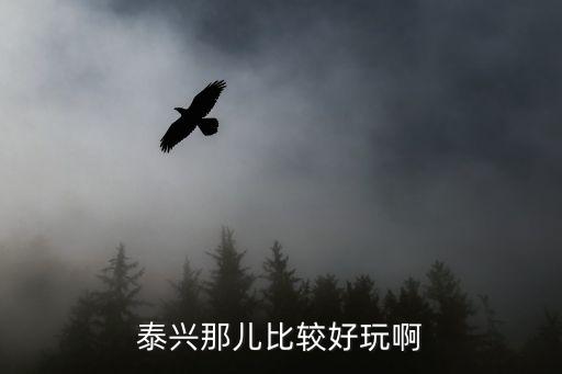泰兴那儿比较好玩啊