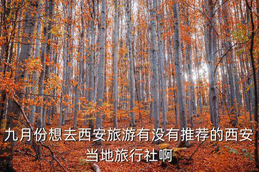 九月份想去西安旅游有没有推荐的西安当地旅行社啊