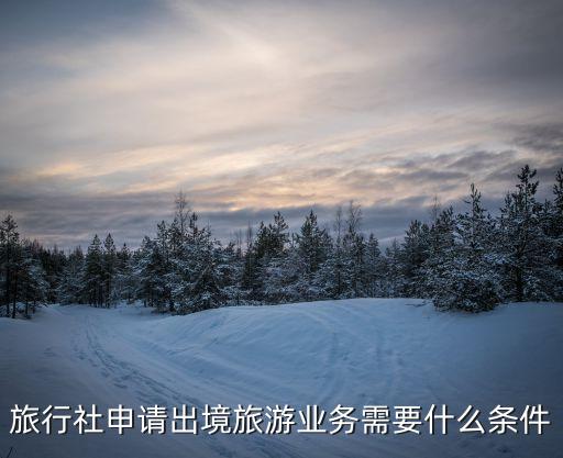 旅行社申请出境旅游业务需要什么条件