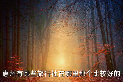 惠州有哪些旅行社在哪里那个比较好的