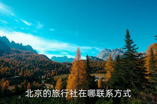 北京游玩天下国际旅行社地址电话，北京的旅行社在哪联系方式