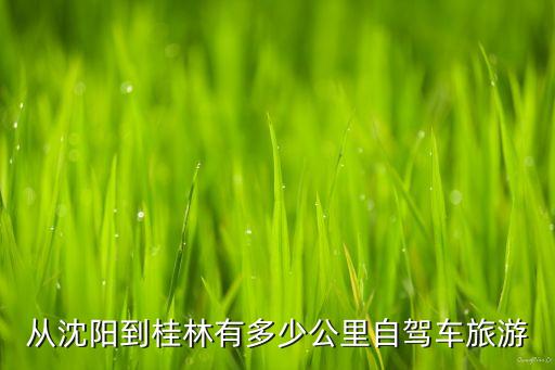 从沈阳到桂林有多少公里自驾车旅游