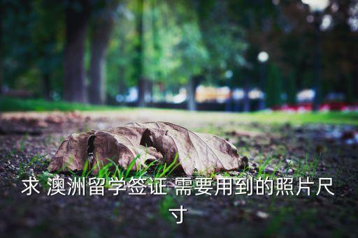 出国留学的照片尺寸，出国护照照片尺寸是多少