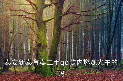 二手观光车在哪里可以买到，泰安新泰有卖二手qq款内燃观光车的吗