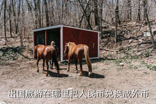 出国旅游在哪里把人民币兑换成外币