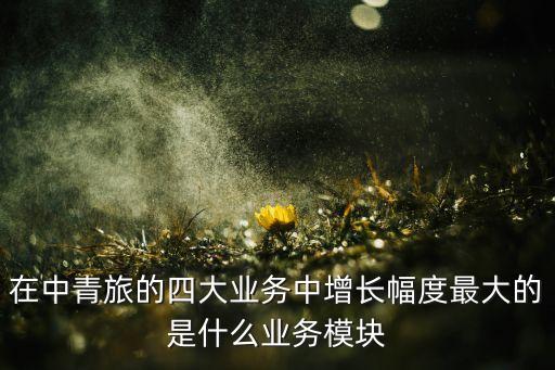 中青旅旅行社业务范围，在中青旅的四大业务中增长幅度最大的是什么业务模块