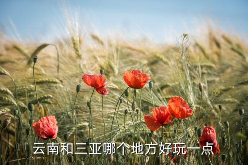云南和三亚哪里更好玩，云南和三亚哪个地方好玩