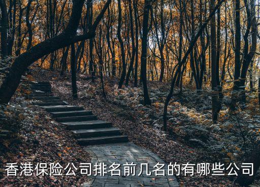 香港保险公司排名前十都有哪家，有谁知道香港比较知名的保险公司有哪些