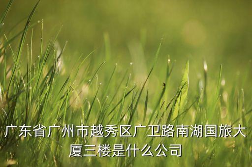 广东省广州市越秀区广卫路南湖国旅大厦三楼是什么公司