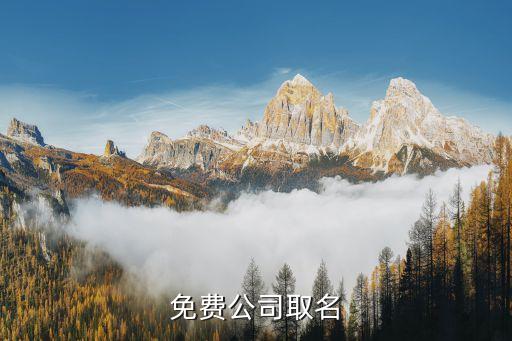 公司免费取名，公司起名网免费取名