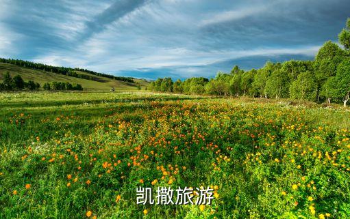 北京凯撒旅行社官网电话，凯撒旅游
