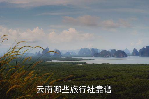 云南光大旅行社正规吗，云南哪些旅行社靠谱
