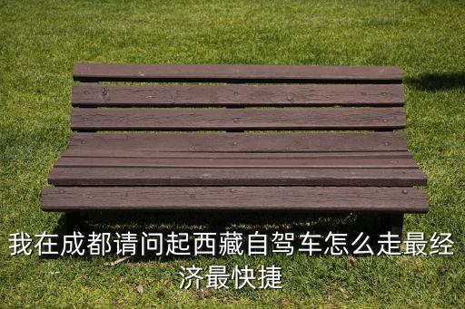 我在成都请问起西藏自驾车怎么走最经济最快捷
