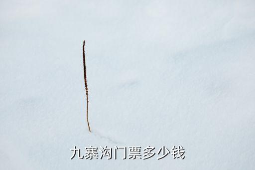 九寨沟门票多少钱
