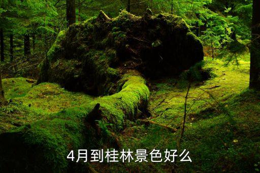 4月到桂林景色好么