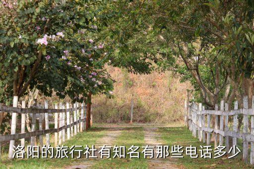 洛阳的旅行社有知名有那些电话多少