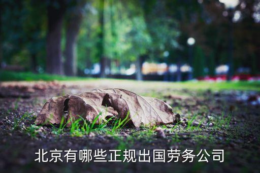 北京有哪些正规出国劳务公司