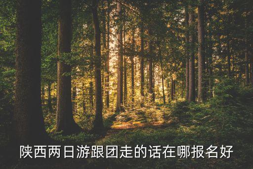 陕西两日游跟团走的话在哪报名好